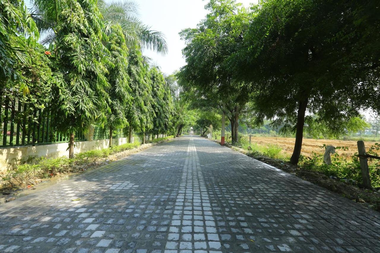 מלון לקנאו Mann The Palm Retreat מראה חיצוני תמונה